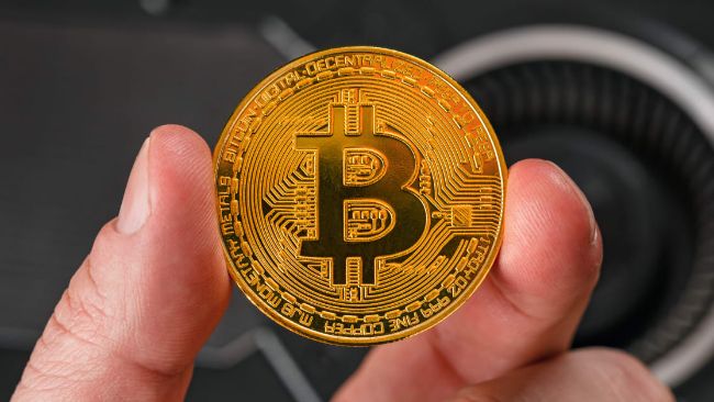 Стало известно количество биткоинов у крупных инвесторов