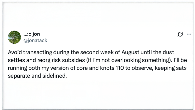 
			Разработчик Bitcoin Core предупреждает пользователей о необходимости приостановить переводы BTC по мере приближения срока вступления в силу BIP-110		